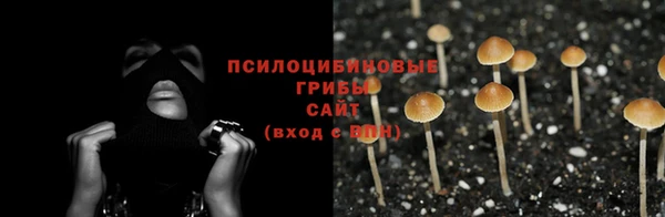 дмт Белокуриха