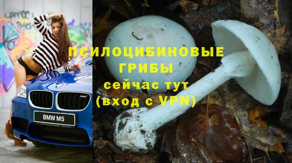 твердый Богородицк