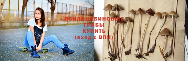дмт Белокуриха