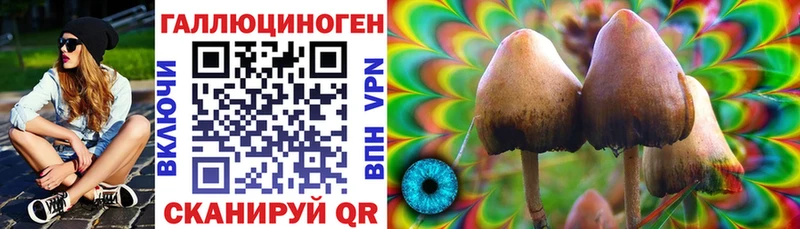 Галлюциногенные грибы GOLDEN TEACHER Богданович
