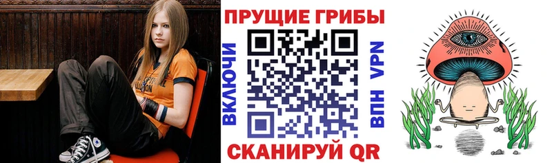 закладки  Богданович  Галлюциногенные грибы мухоморы 